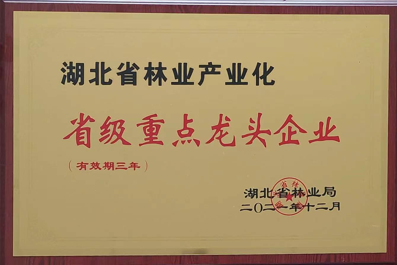省林業(yè)產業(yè)化重點龍頭企業(yè)（2021.12）.jpg
